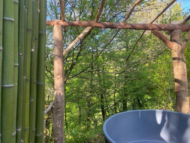 튈 Domaine De Bourbacoup 아파트 외부 사진